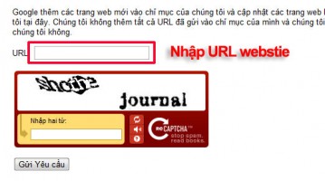 Hướng dẫn cách đăng ký website của bạn với Google