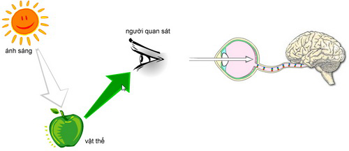 Photoshop : nguyên tắc cơ bản về lý thuết màu ( Phần 1 )